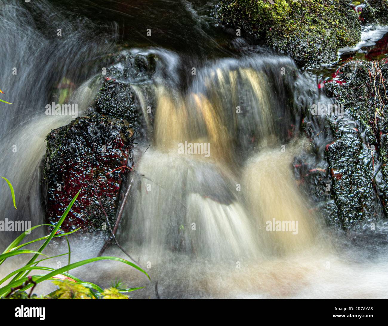 A cascading waterfall, showcasing the beautiful spread of cascading ...