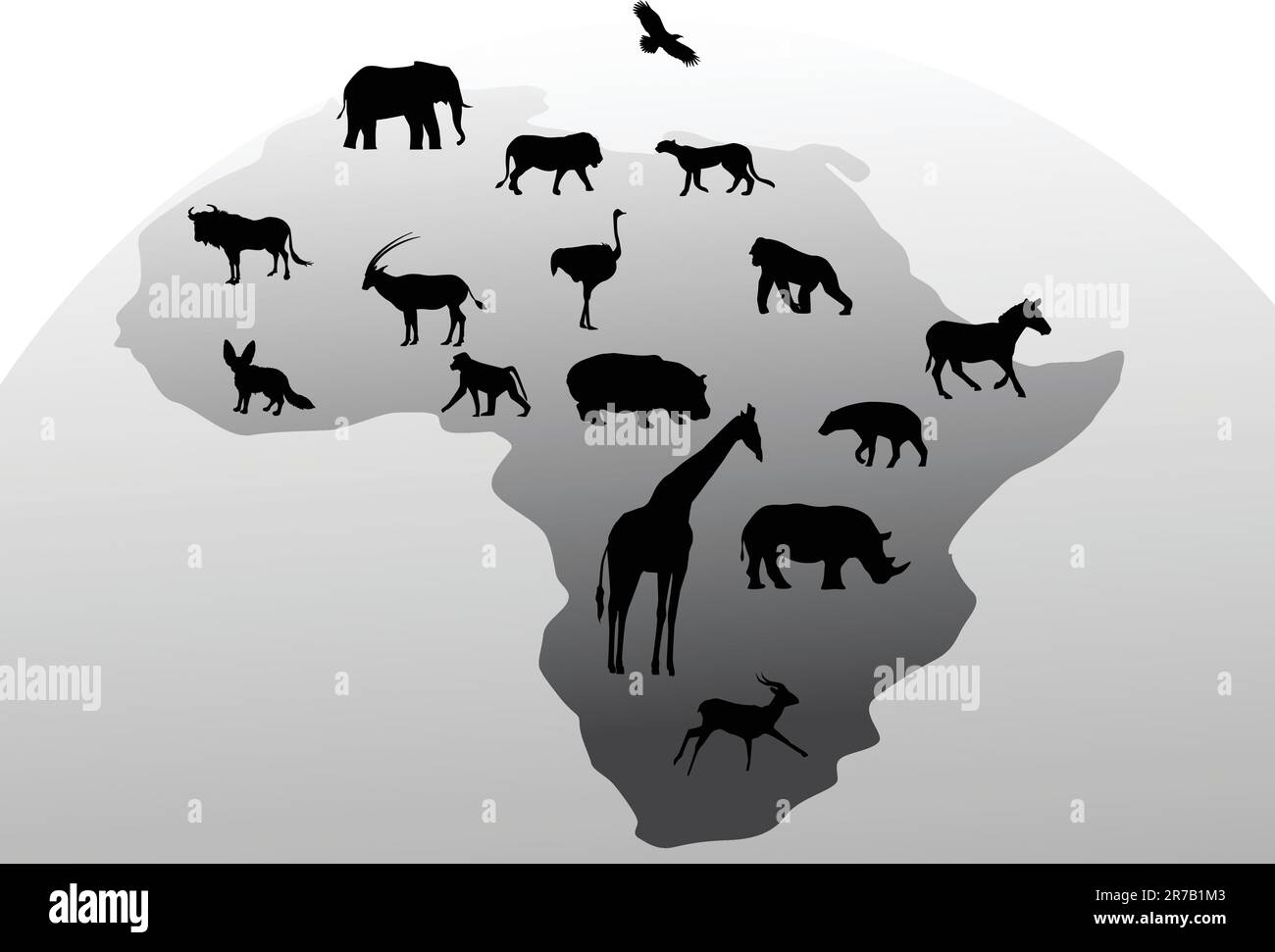 Animal world map hi-res stock photography and images - Alamy