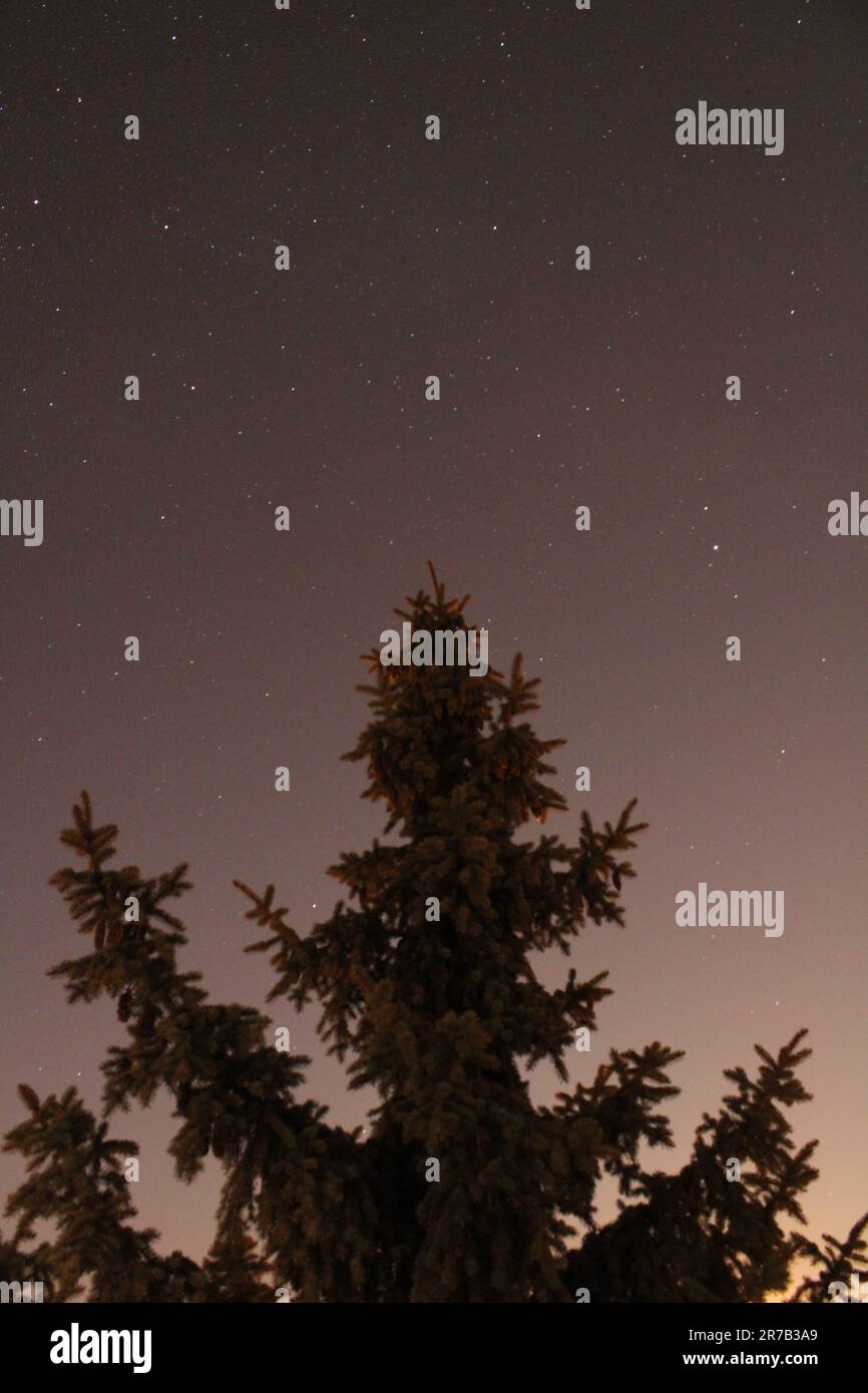 Night sky many stars illustration hi-res stock photography and images ...