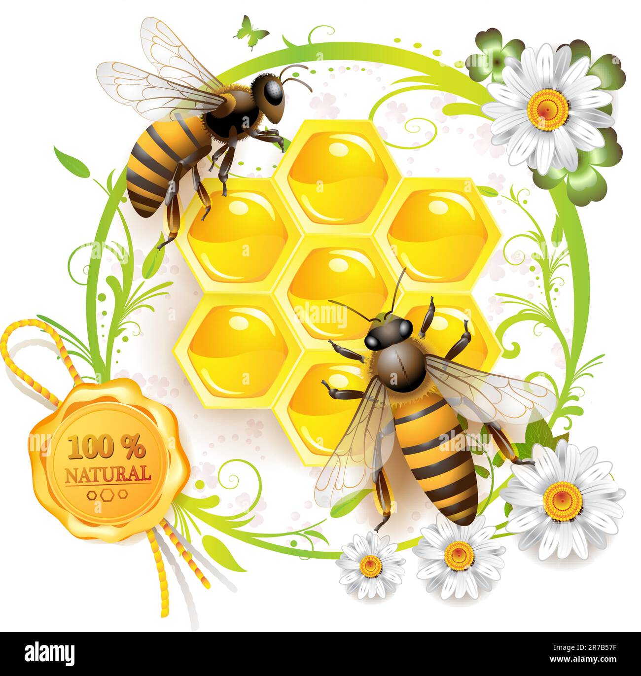 Two bees and honeycombs over floral background isolated on white Stock Vector