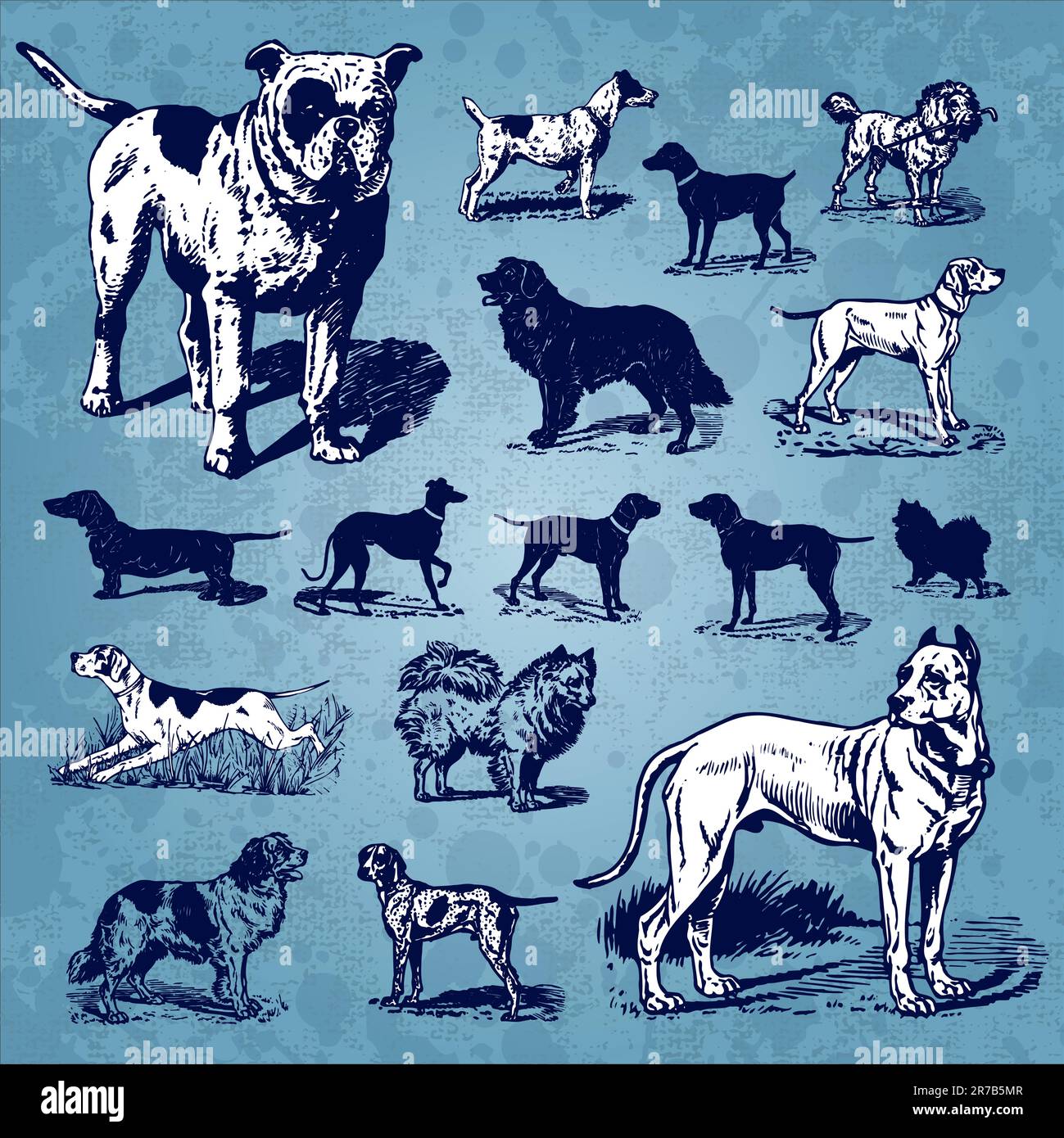 set of antique dog illustrations, scalable and editable vectors Stock Vector