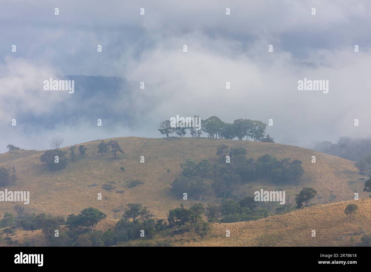 Photograph of low hanging white clouds in an agricultural valley in the ...