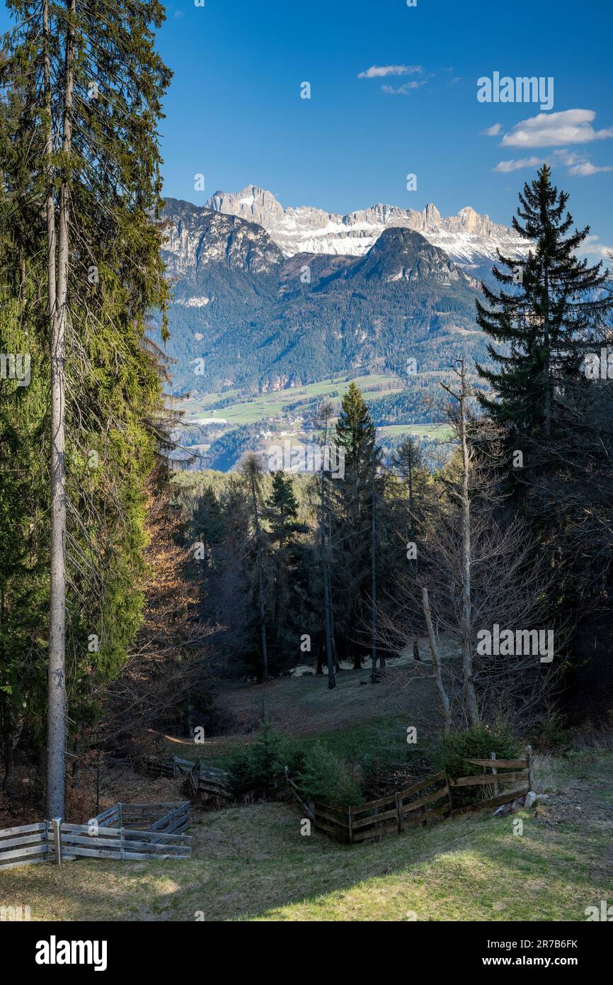 Scenic view of Ritten-Renon high plateau, Trentino-Alto Adige/Sudtirol, Italy Stock Photo