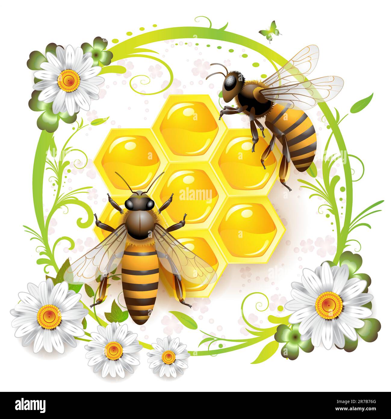 Two bees and honeycombs over floral background isolated on white Stock Vector
