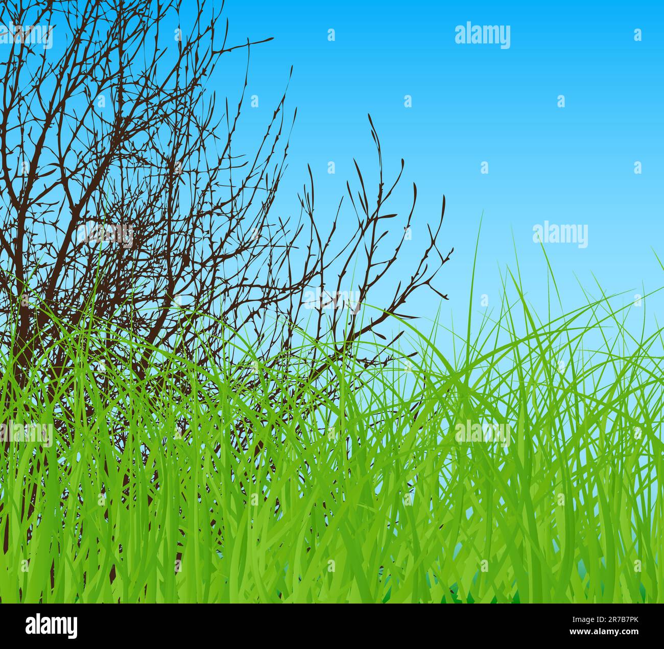 vector tree at spring green field and blue cloud sky Stock Vector Image ...