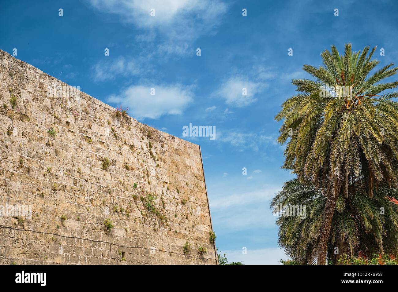 Fortress wall and palm trees on the street in the old shopping center of Rhodes, island of Rhodes, the Greek islands of the Dodecanese archipelago, ho Stock Photo