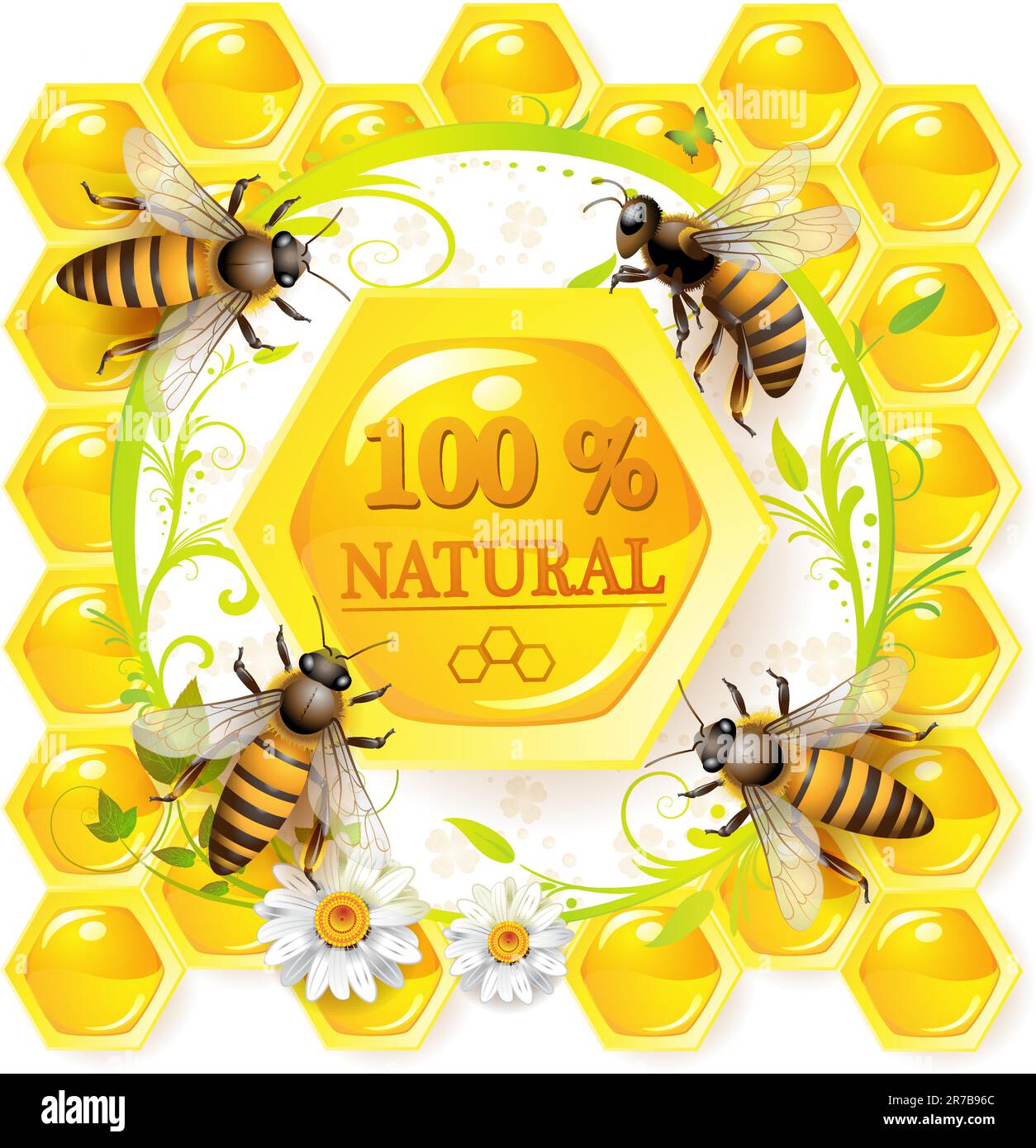 Bees and honeycombs over floral background isolated on white Stock Vector