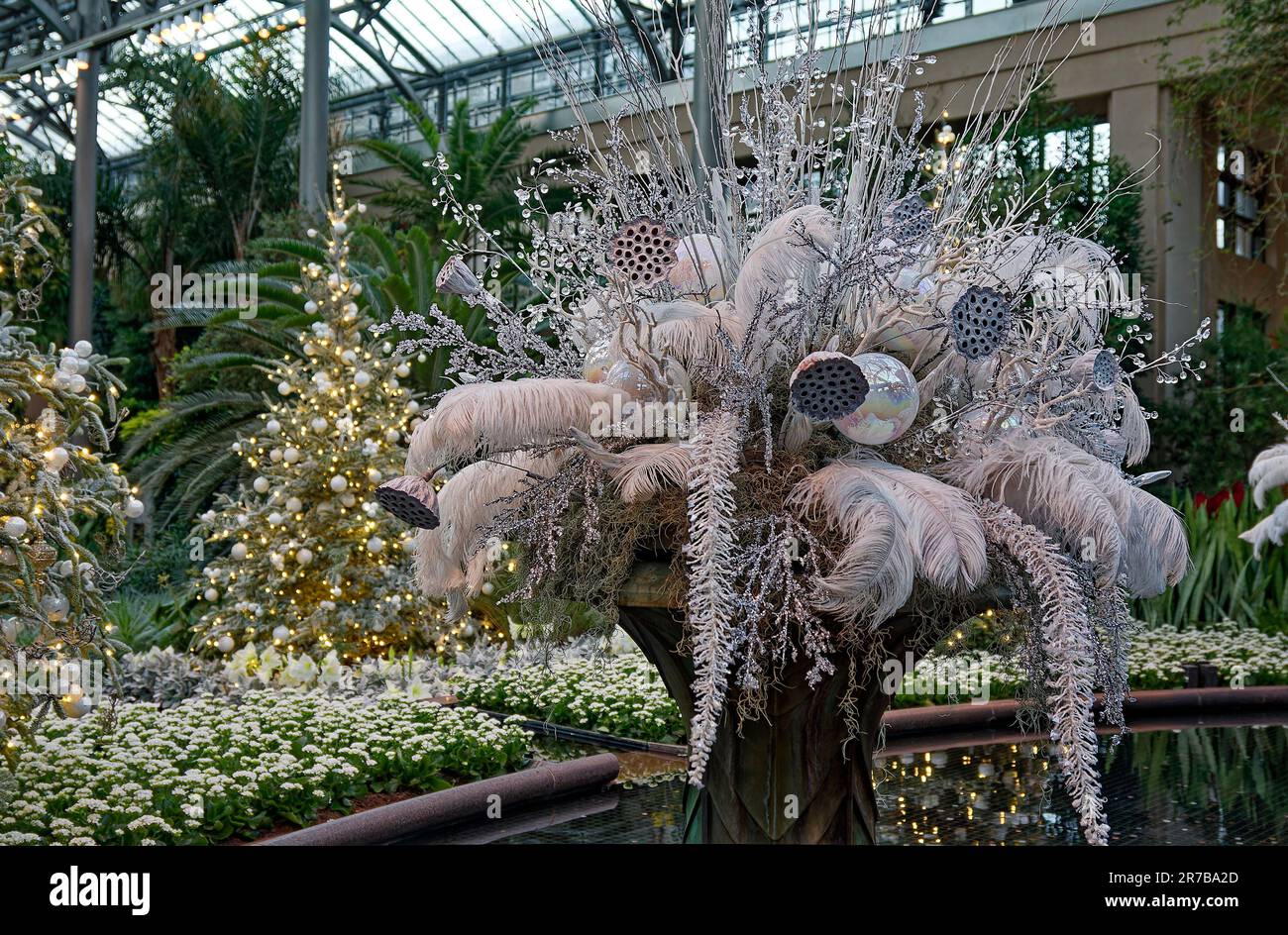 Christmas scene, large potted arrangement, while, silver, decorated trees, gold, white, white flowers, water reflections, festive, holiday, Conservato Stock Photo