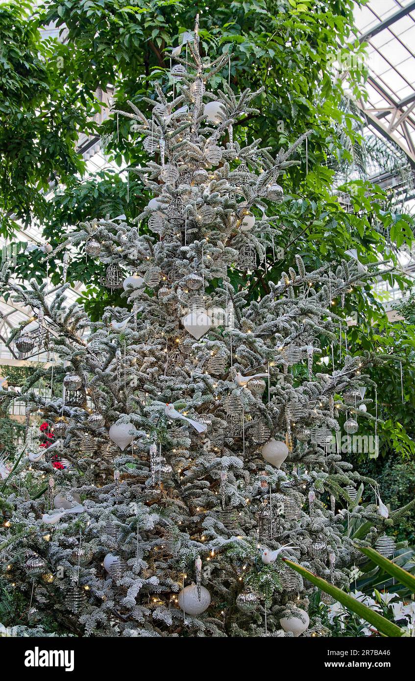large Christmas tree, white, silver, decorations, festive, holiday