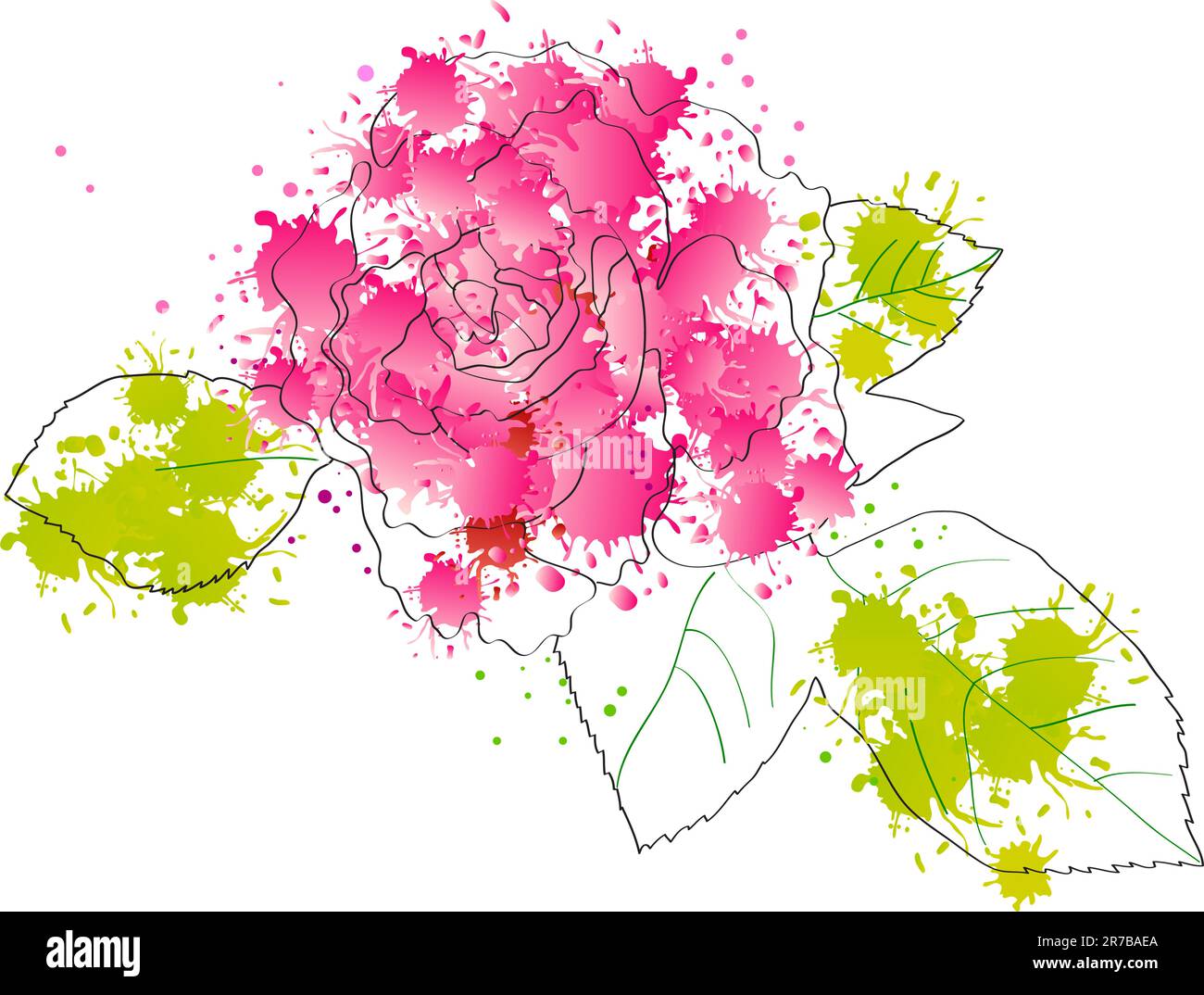 Pink spray rose Stock Vector Images - Alamy