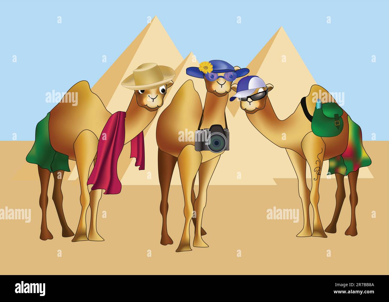 Three camels as tourists in front of pyramids. Stock Vector