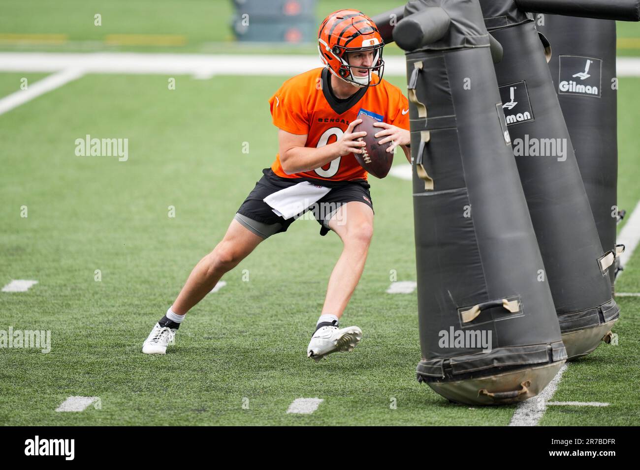 Cincinnati Bengals' Jake Browning runs with the ball as he looks to pass  during a drill at the NFL football team's minicamp in Cincinnati, Friday,  June 14, 2023. (AP Photo/Aaron Doster Stock