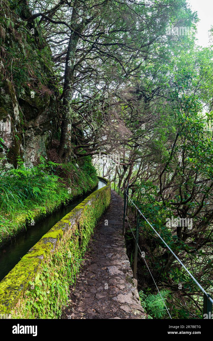 Levada das 25 Fontes hiking trail near Rabacal in Madeira Stock Photo ...