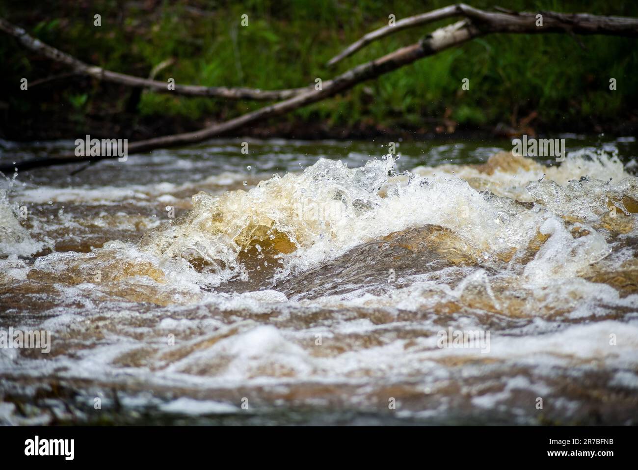 Dimpling Stream A tranquil stream is flowing between lush vegetation and trees, with ...