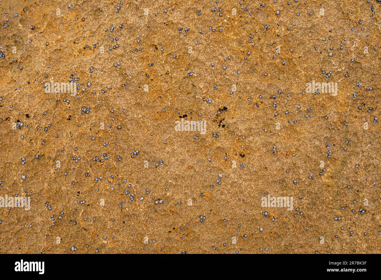 A textured, aged brown stone background with a rustic and weathered look Stock Photo