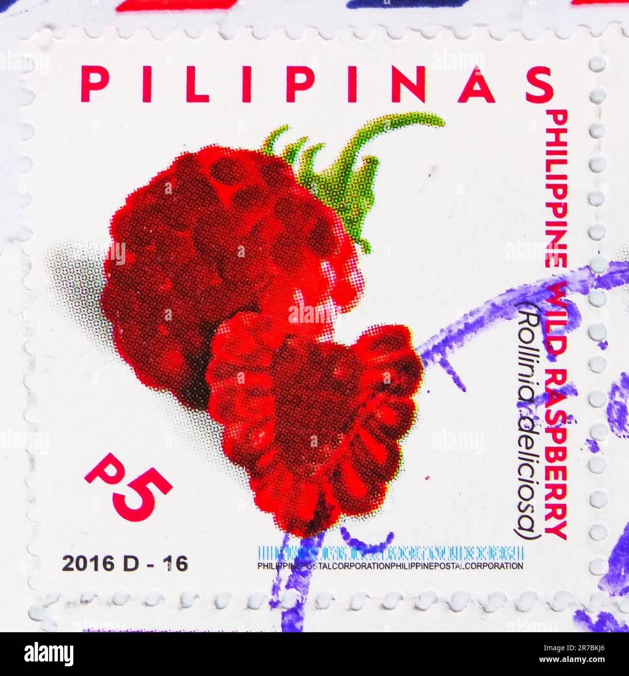 MOSCOW, RUSSIA - JUNE 8 2023: Postage stamp printed on Philippines shows Philippine Wild Raspberry (Rollinia deliciosa) Sapinit, Fruits serie, circa 2 Stock Photo