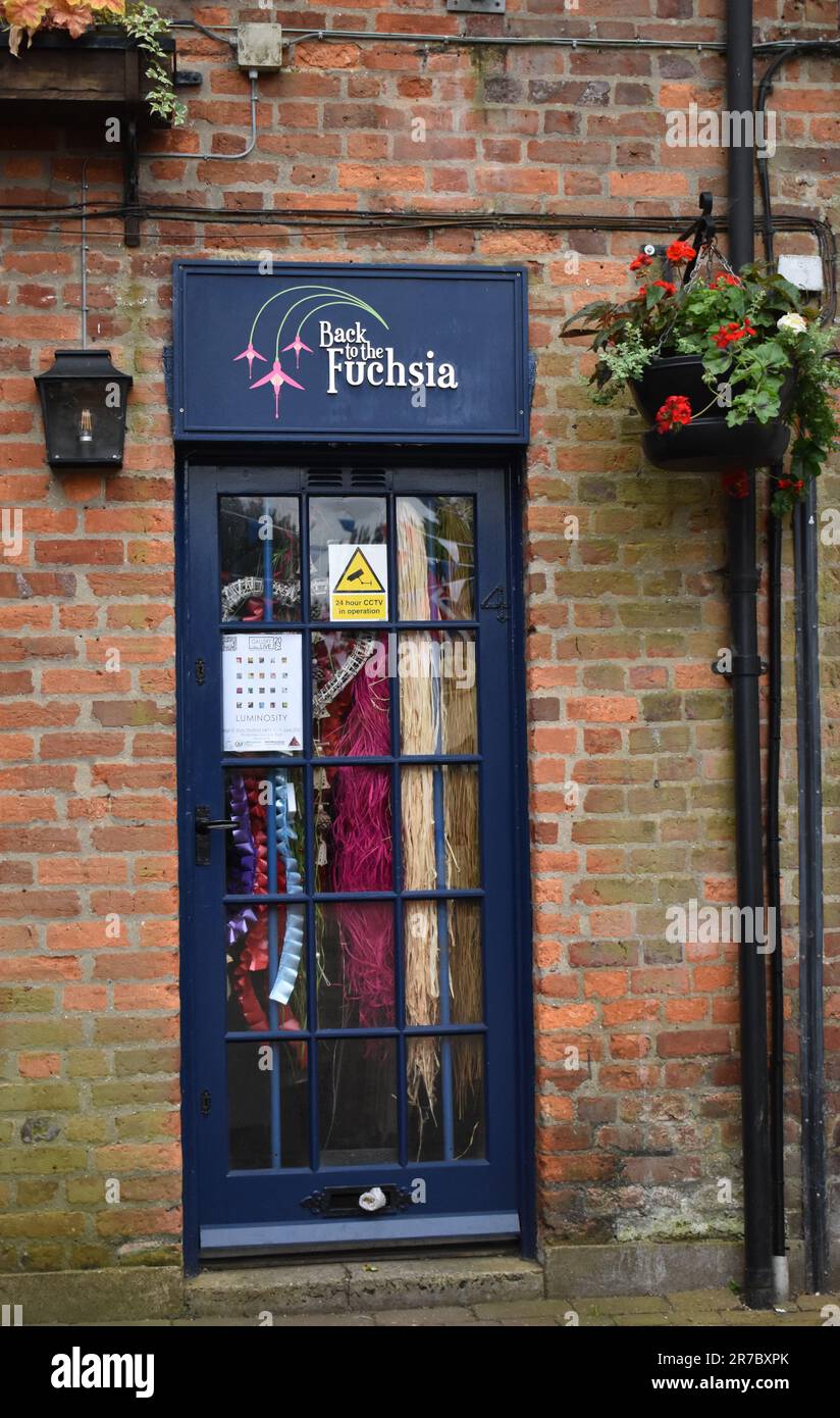 An amusing shop name: a florist - Back to the Fuchsia, a pun on the film title 'Back to the Future'. Stock Photo
