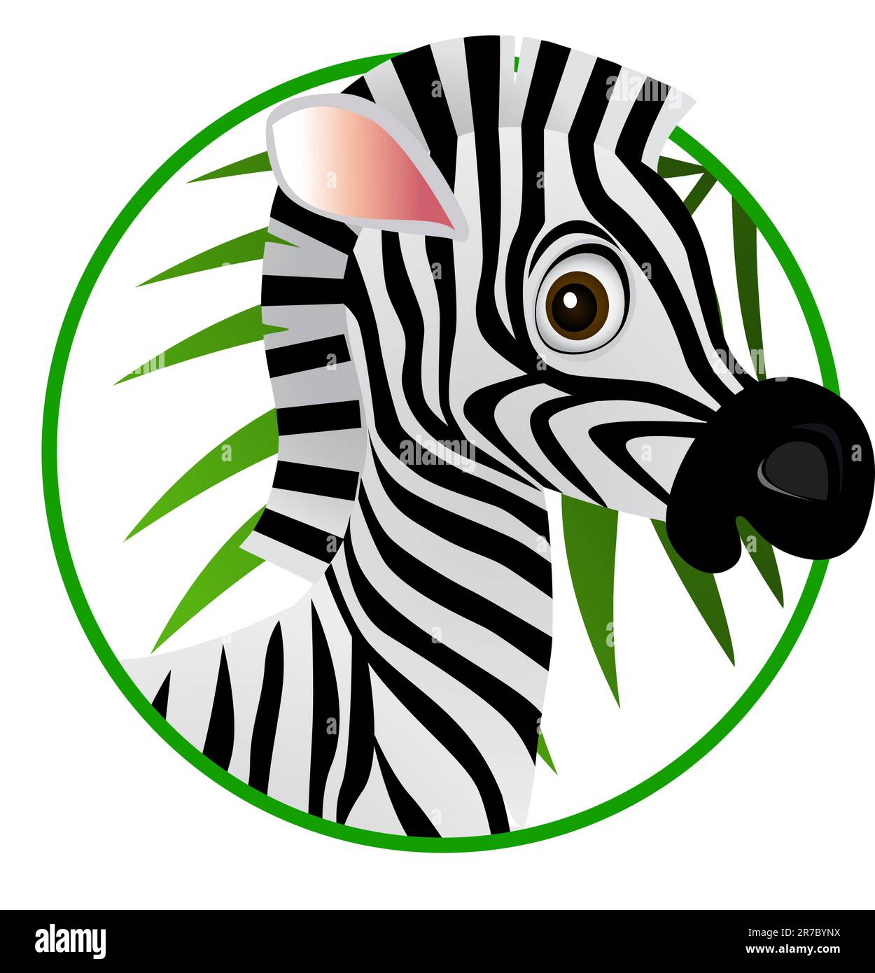 Zebra eye close up Stock Vector Images - Alamy