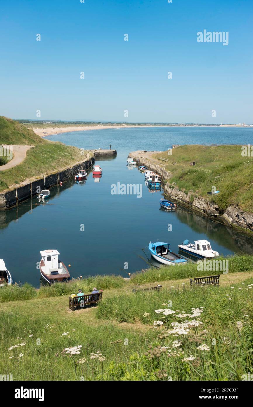 Looking north from Seaton Sluice harbour, Northumberland, England, UK Stock Photo