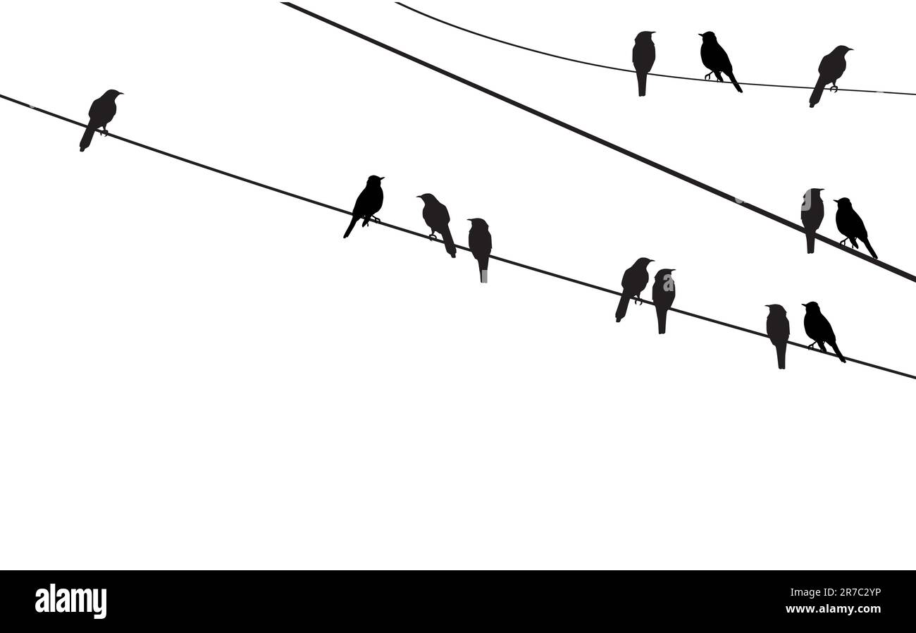 vector illustration of birds on wire Stock Vector Image & Art - Alamy