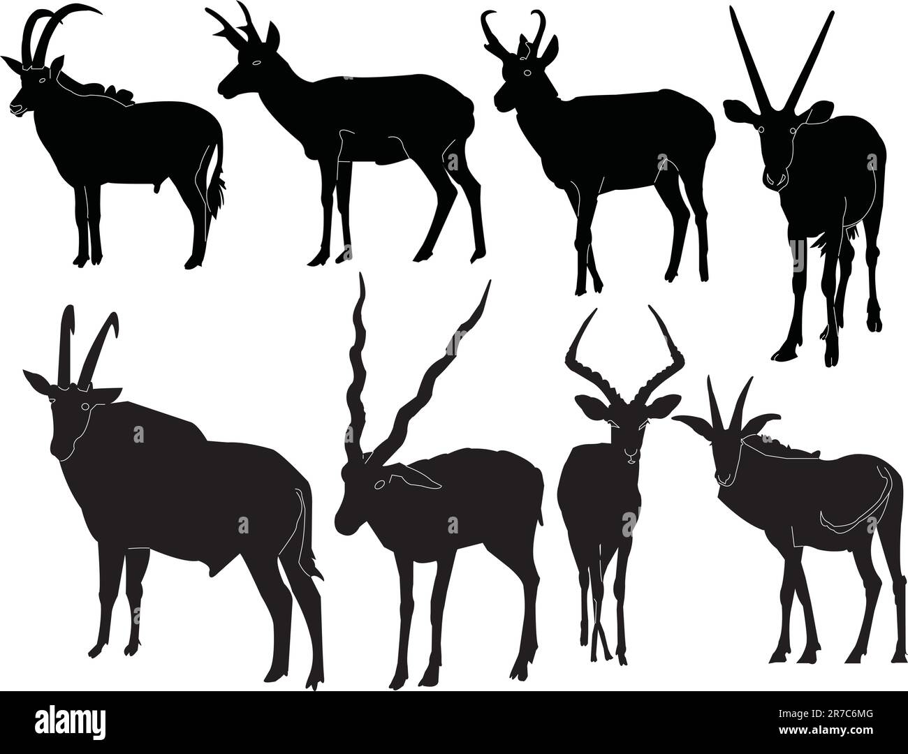 antelopes collection - vector Stock Vector