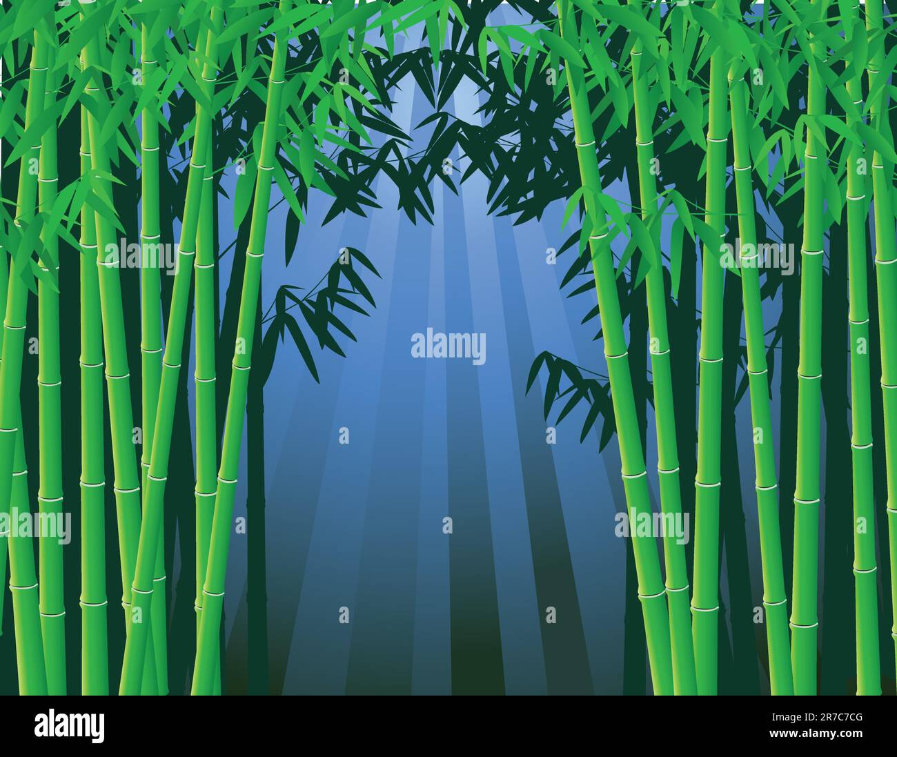 Bamboo forest background Stock Vector Image & Art - Alamy