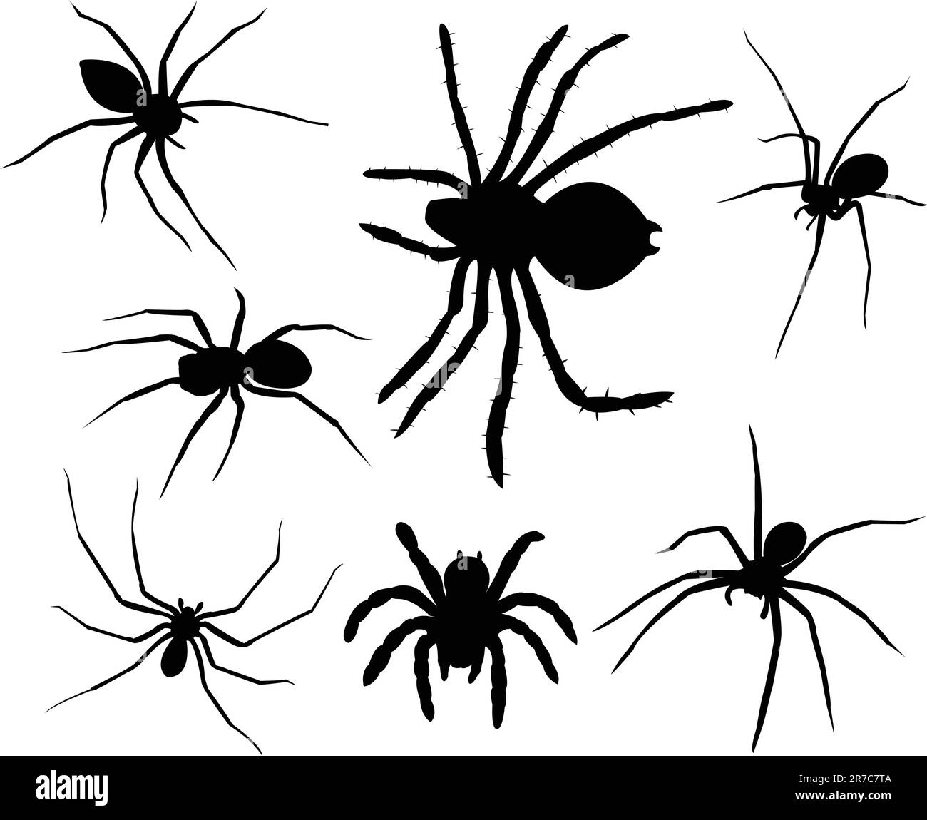 Spiders silhouettes collection - vector Stock Vector