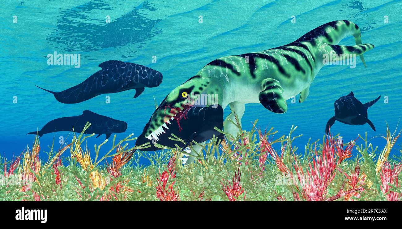 A group of Pilot whales try to evade a Dakosaurus marine reptile in Cretaceous seas of North America. Stock Photo
