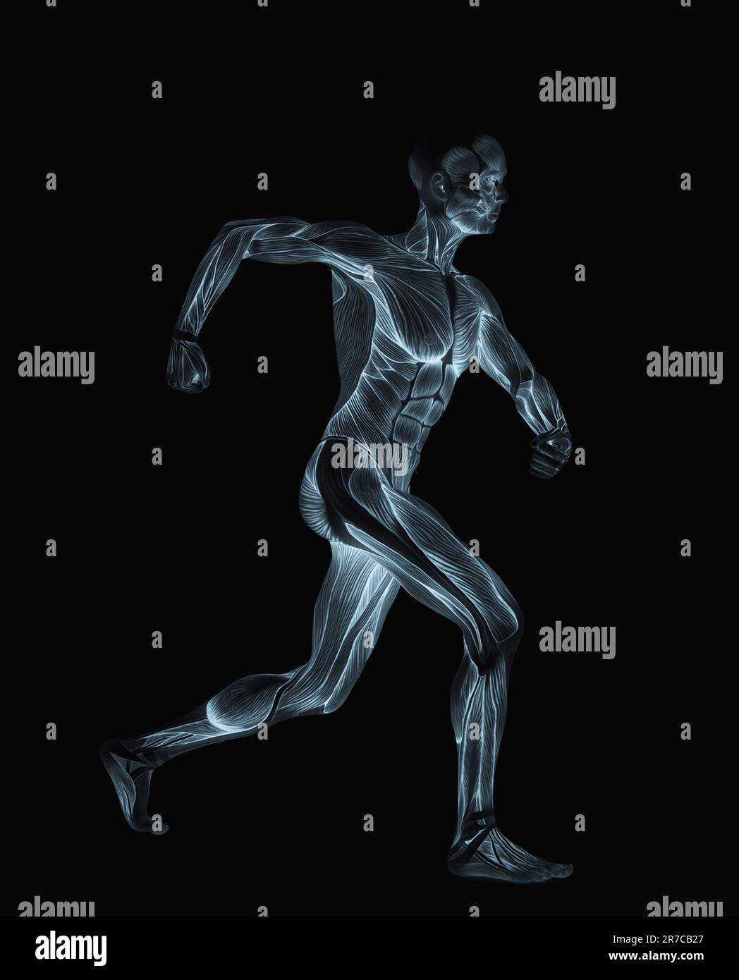 average man muscle maps is doing a angry walk, 3d illustration Stock ...