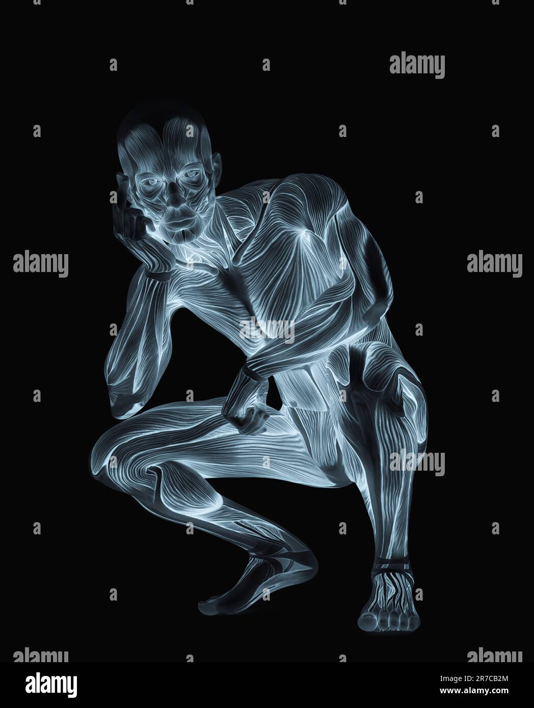 average man muscle maps is crouched - Average Man Muscle Maps Is Crouched 3d Illustration 2R7CB2M 