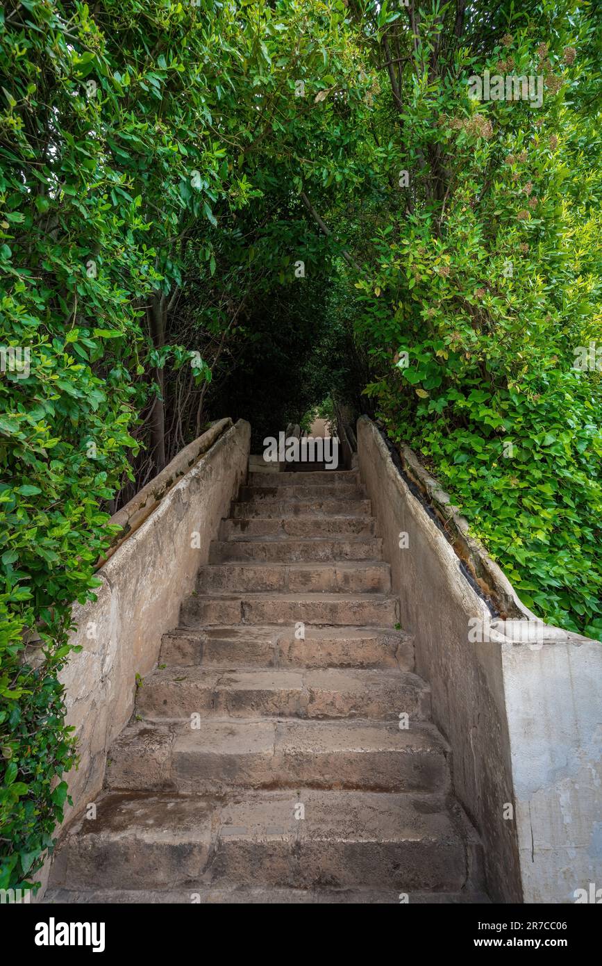 Water Stairway (Escalera del Agua) at Generalife Gardens of Alhambra - Granada, Andalusia, Spain Stock Photo