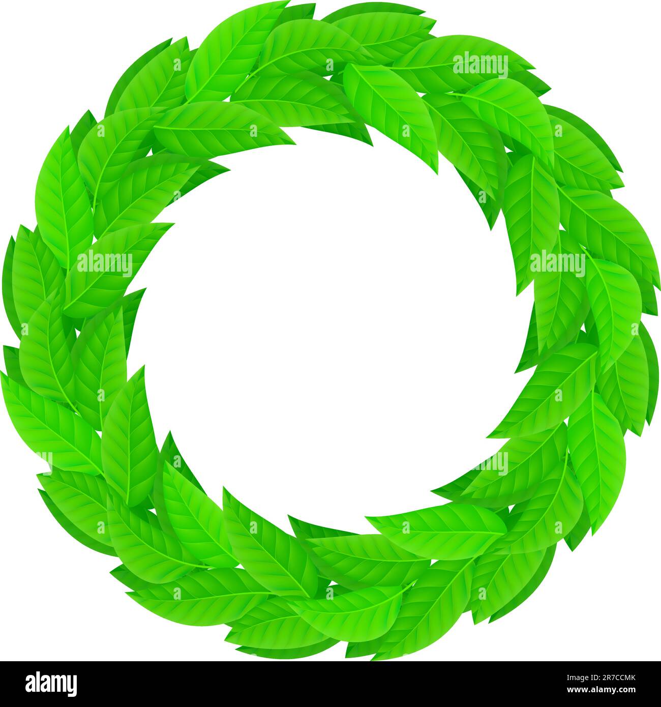 A wreath of green leaves. Illustration on white background Stock Vector ...