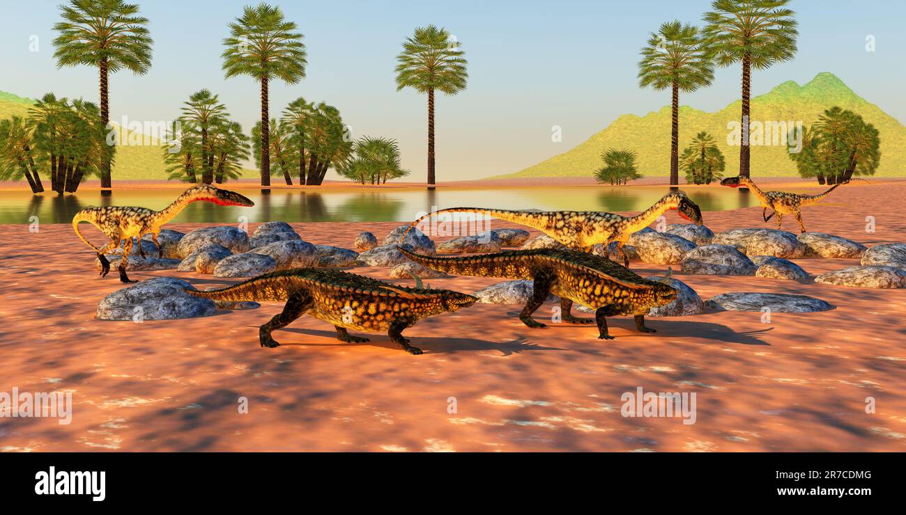 A Coelophysis hunting pack surround two Desmatosuchus armored dinosaurs during the Triassic Period. Stock Photo
