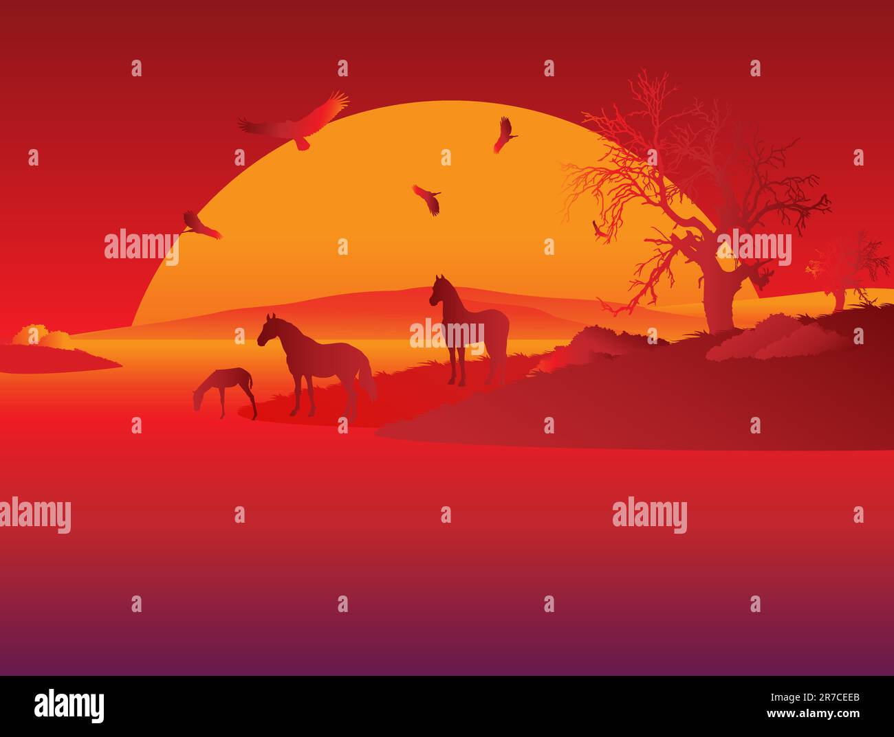 This is three horses about river evening Stock Vector