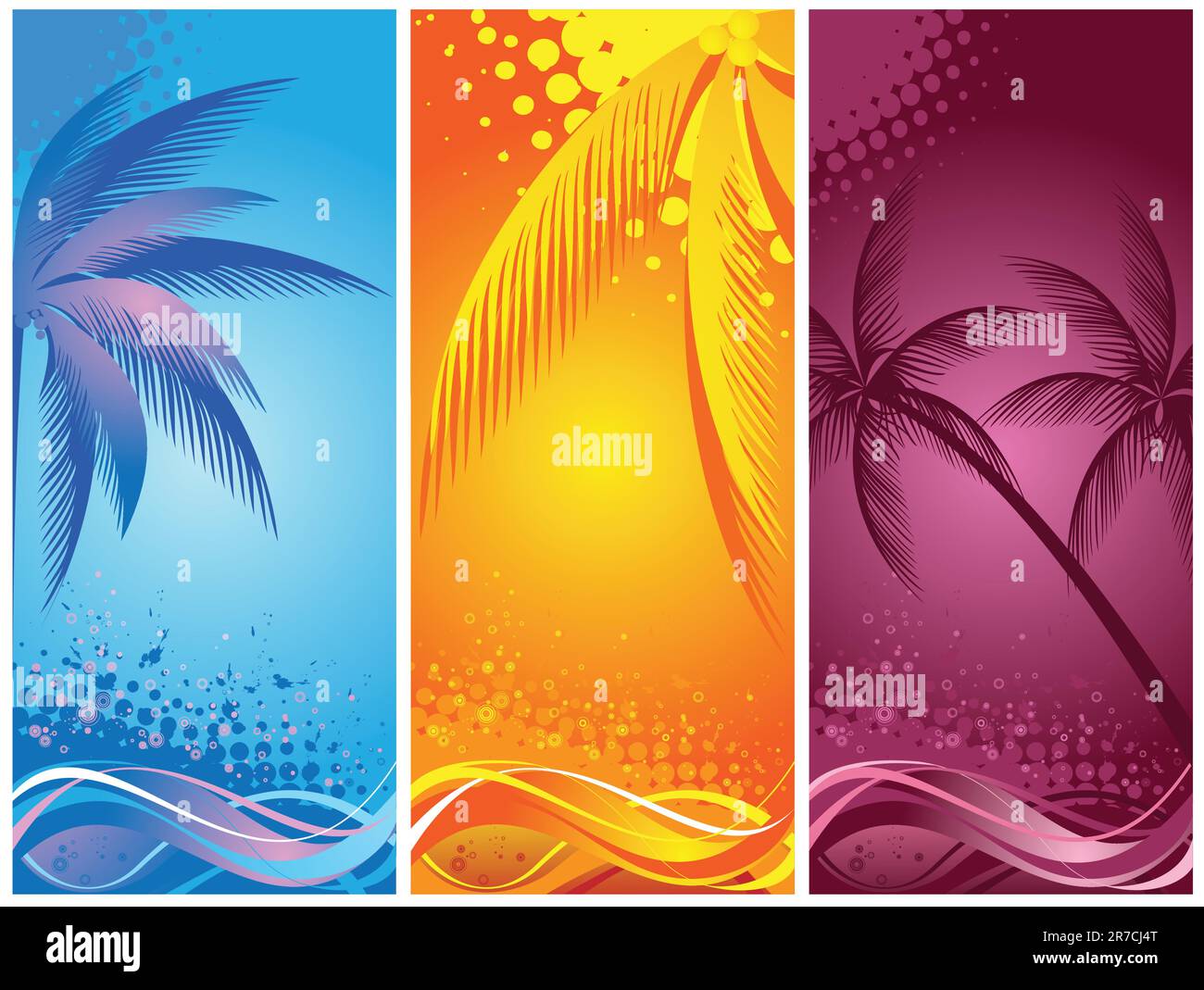 tropical palm, background summer Stock Vector