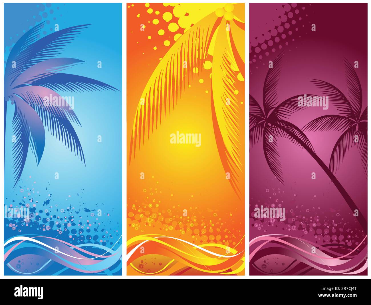 Bright evening landscape sea palm Stock Vector Images - Alamy