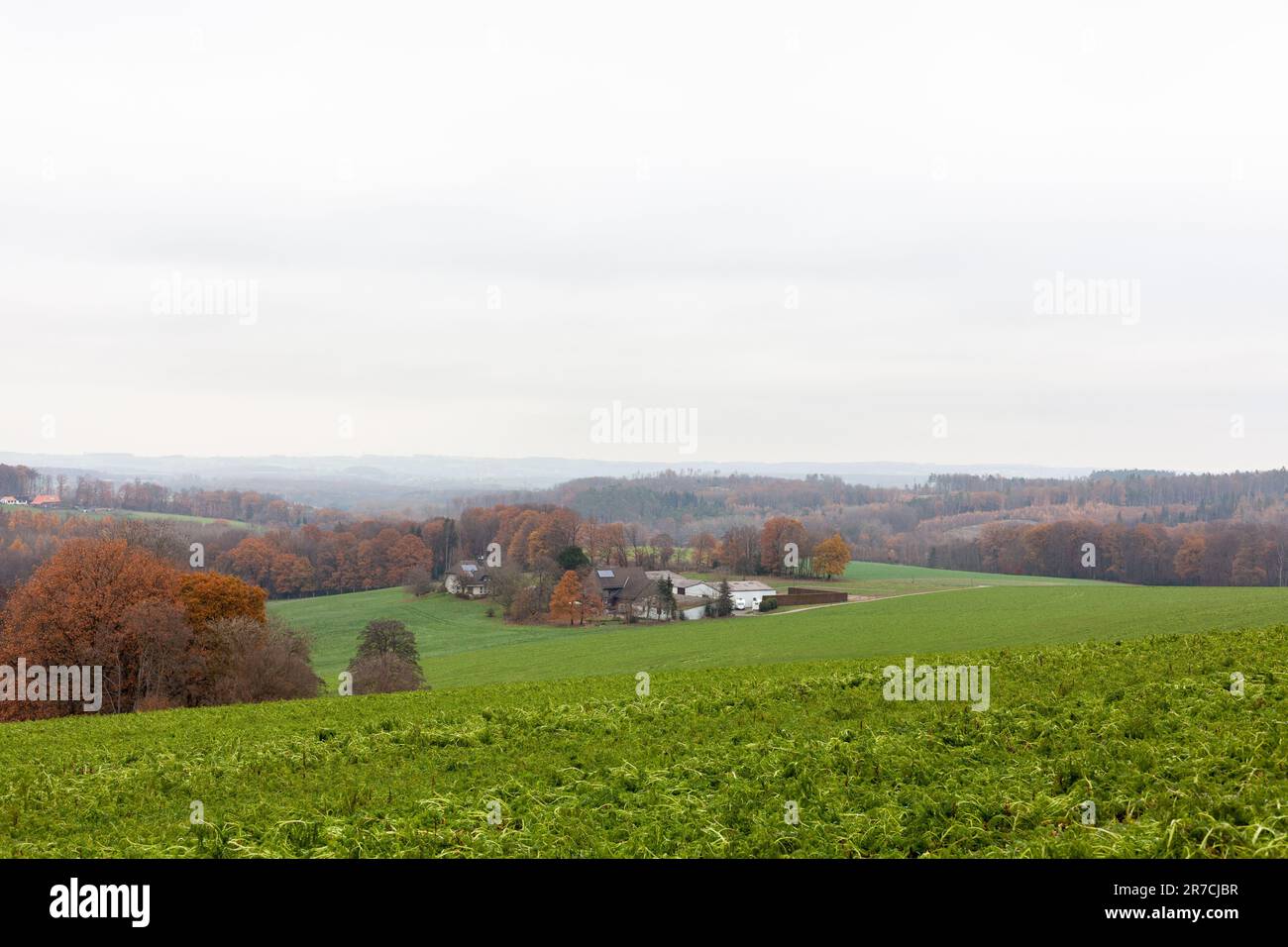 Rural landscape forests in hi-res stock photography and images - Alamy