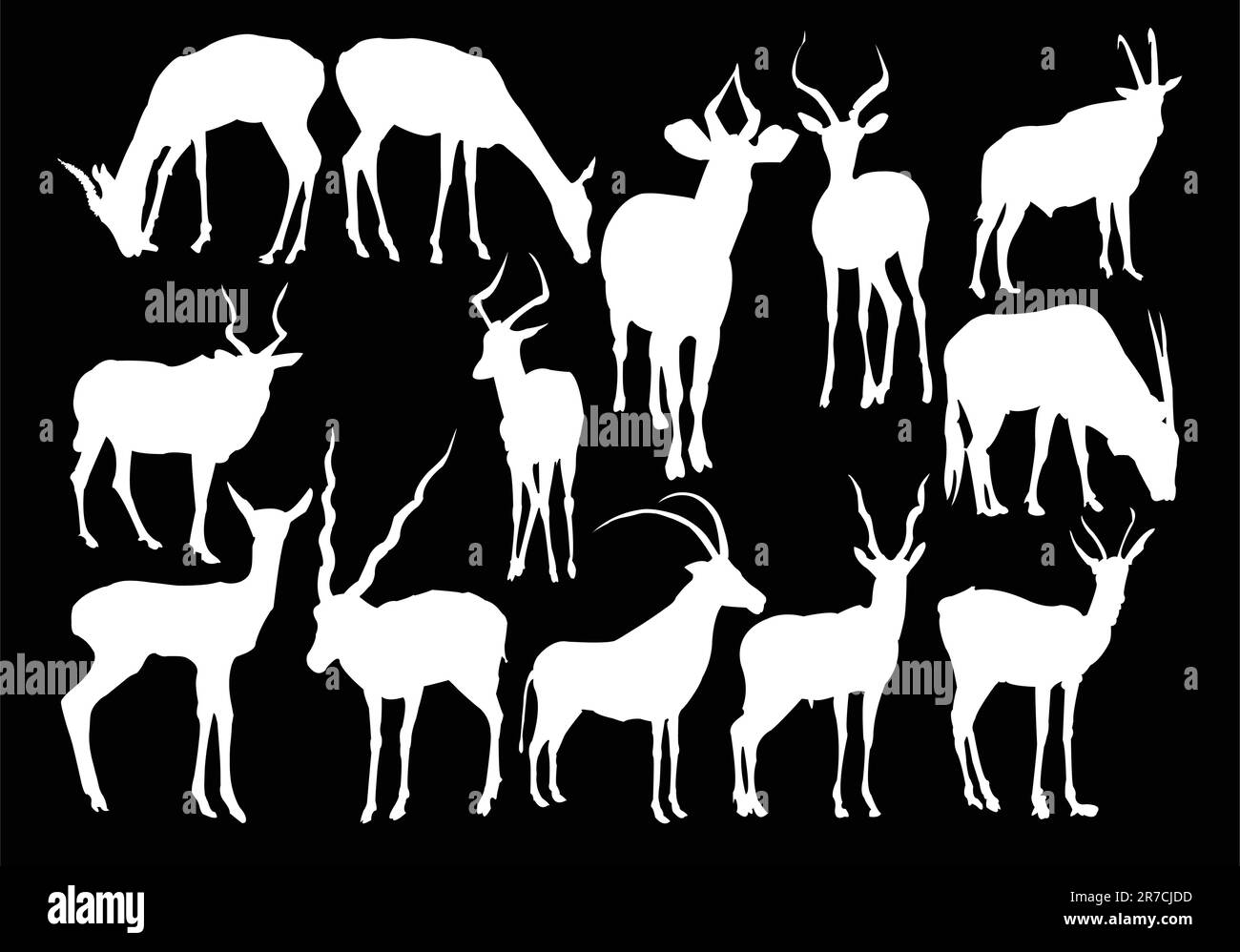 antelopes collection - vector Stock Vector