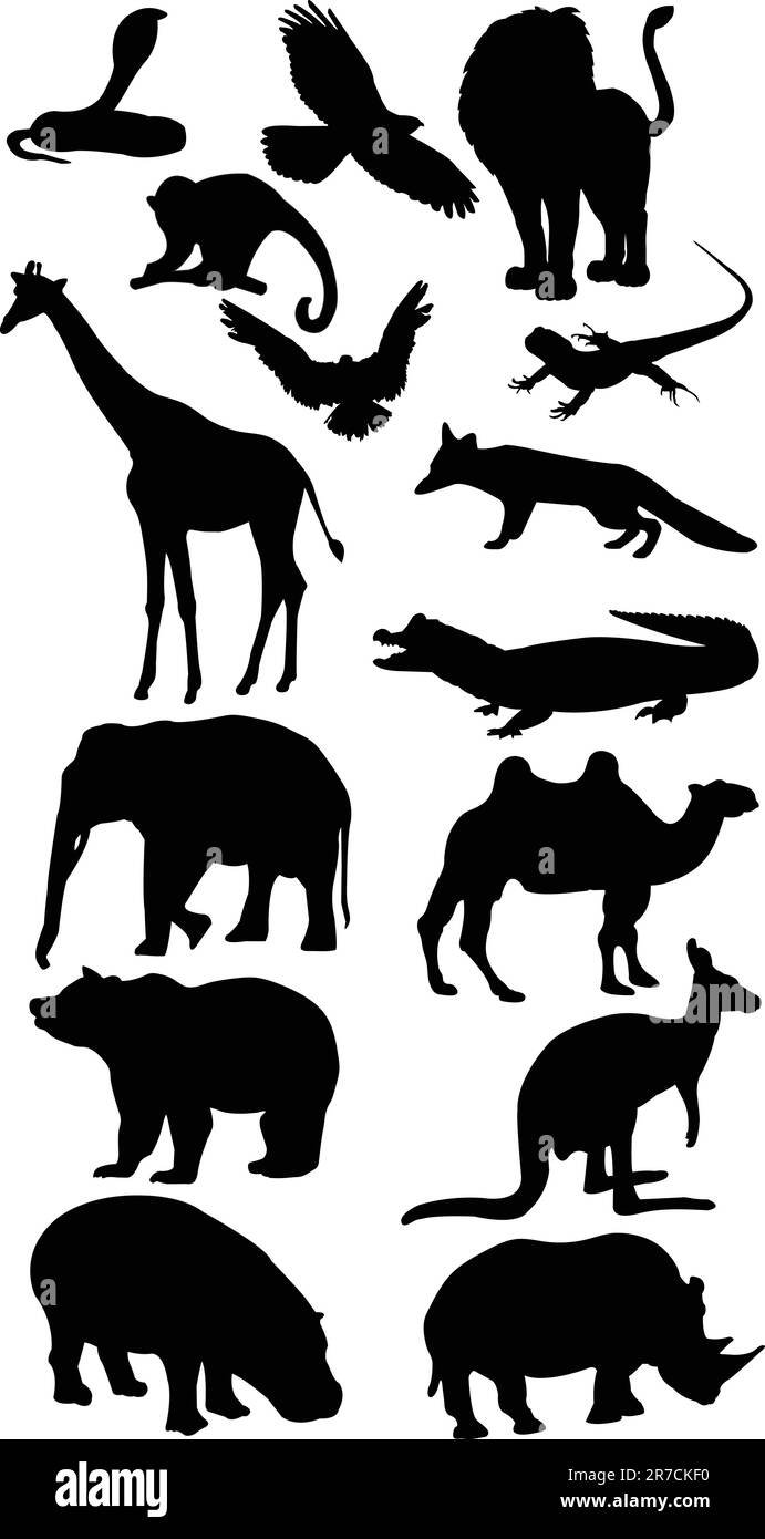illustration of wild animal vector Stock Vector Image & Art Alamy