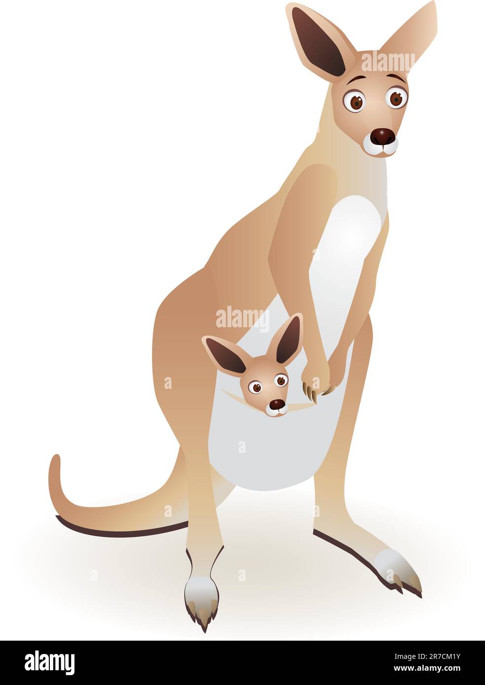 Kangaroo Stock Vector