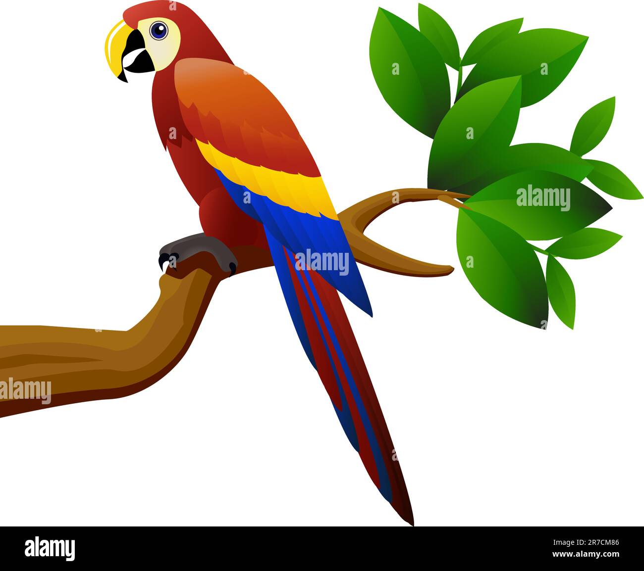 Parrot bird vector Stock Vector Image & Art - Alamy