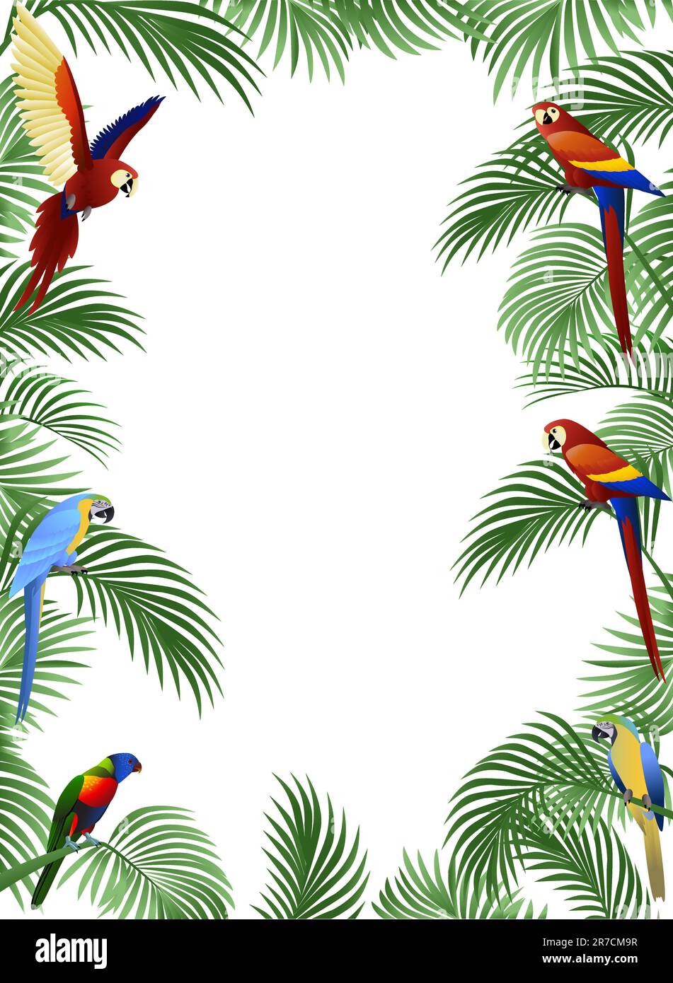 Parrot bird vector Stock Vector Image & Art - Alamy