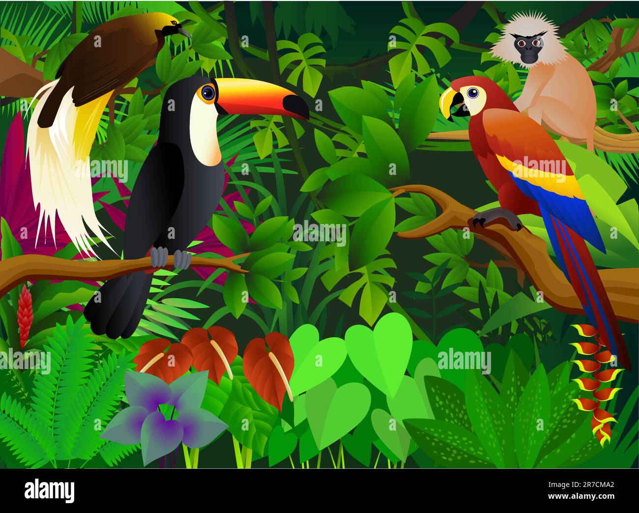 vector illustration of animal in the tropical jungle Stock Vector Image ...