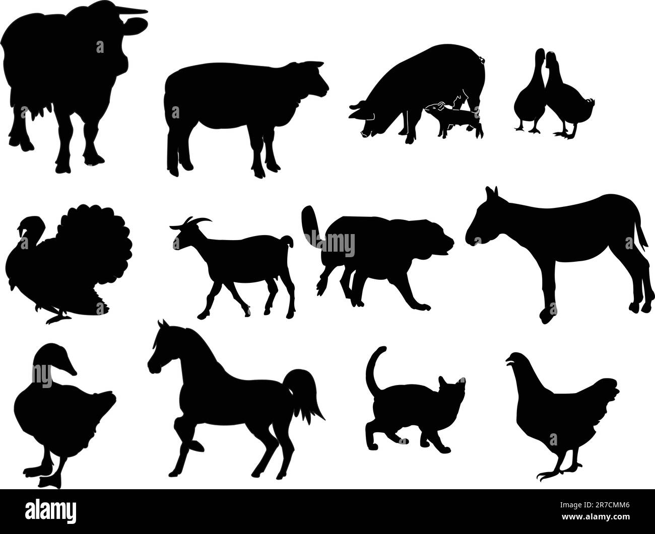 domestic animals illustration collection - vector Stock Vector Image ...