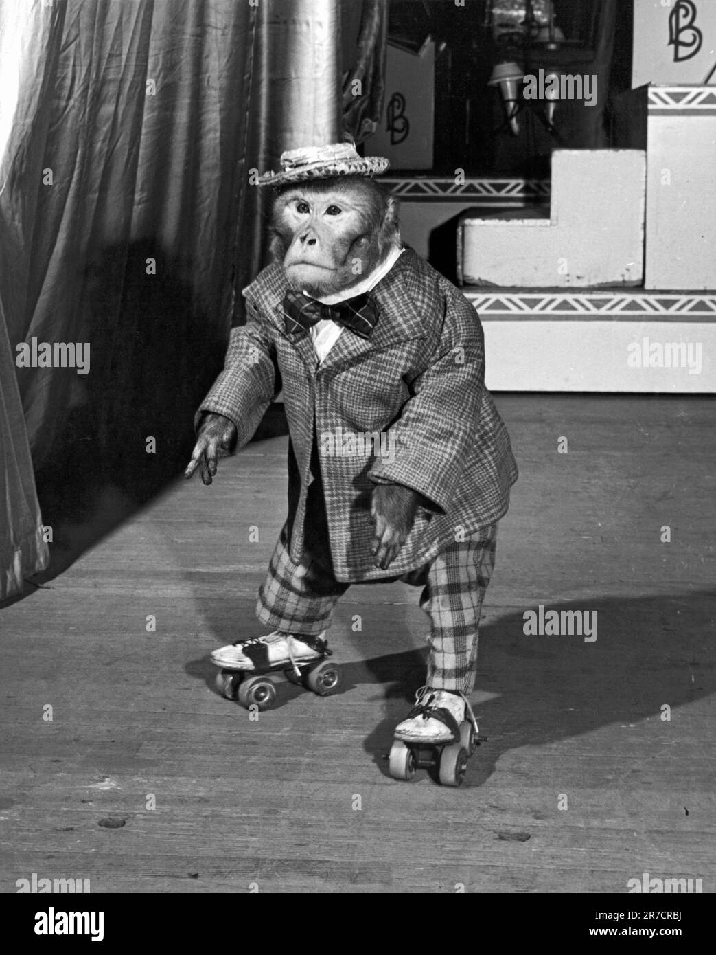 New York, New York December 27, 1946 Herman, the roller skating