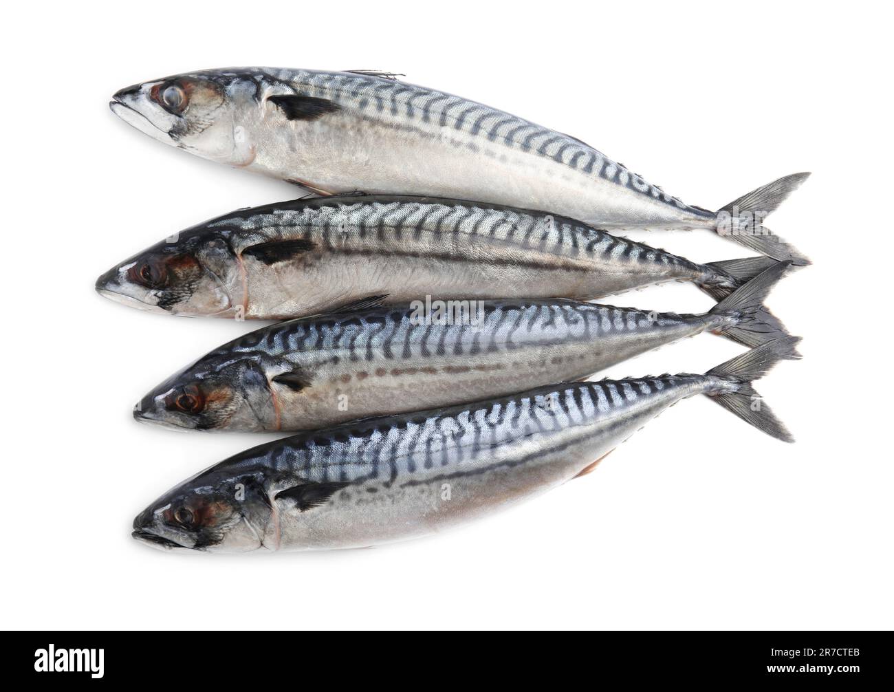 Many tasty raw mackerels isolated on white Stock Photo Alamy