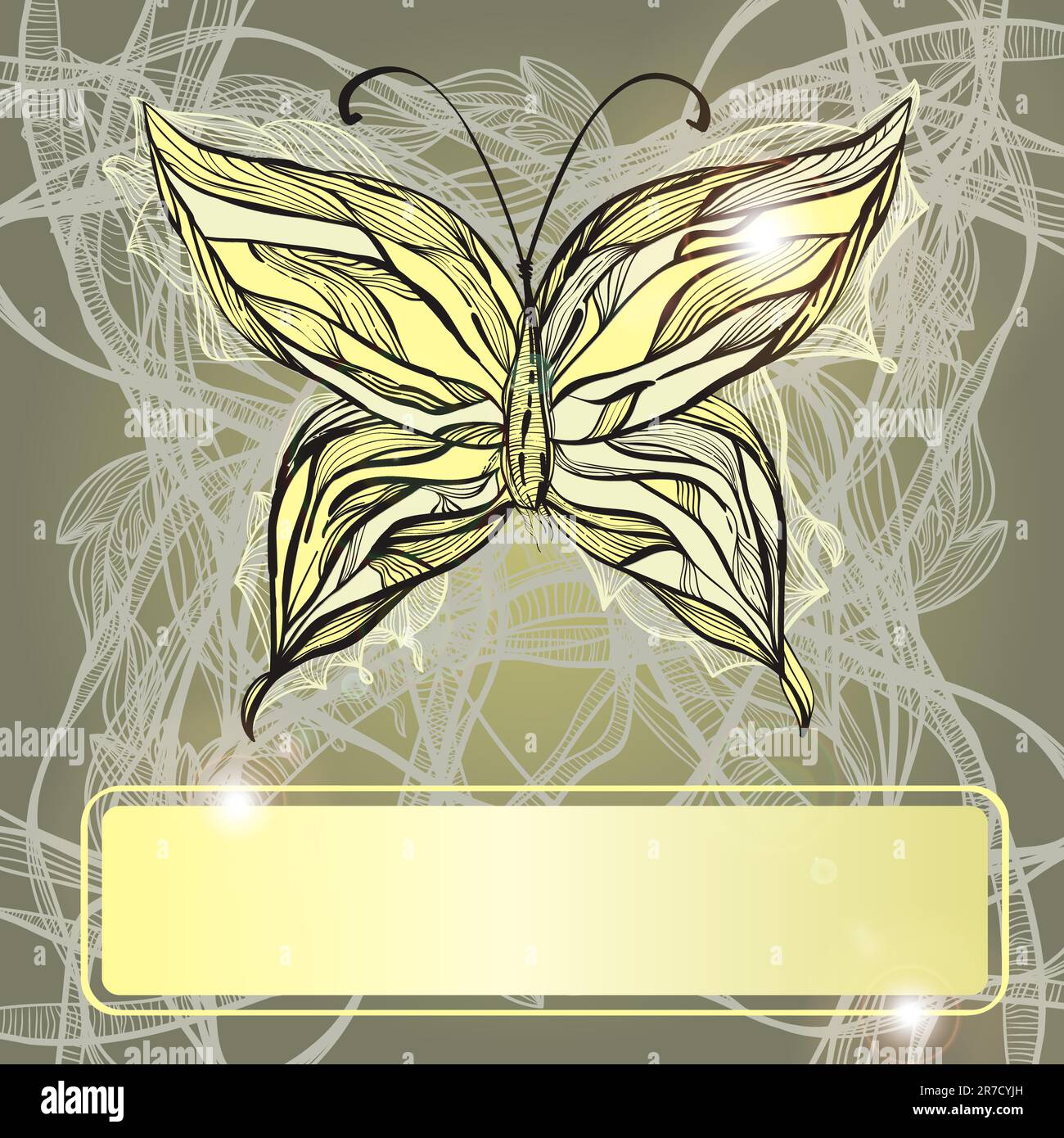 vector hand drawn beautiful butterfly, vintage style, frame for your ...
