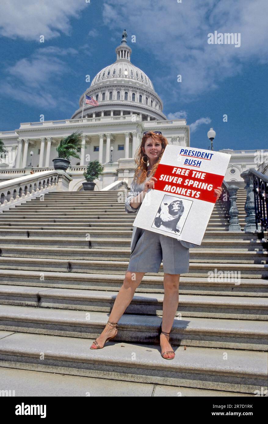 WASHINGTON DC - JUNE 10, 1990 Actress Cassandra Peterson (AKA Elvira, Mistress of the Dark) holds a protest sign depicting the Silver Spring Monkeys on the steps of the US Capitol during the animals rights protest march. Stock Photo