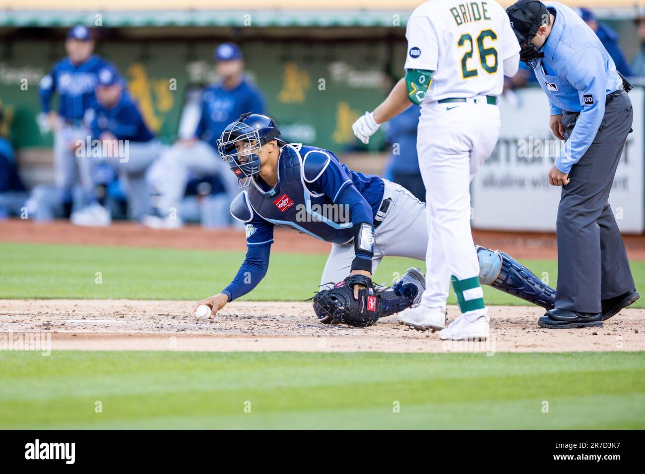 WILD PITCH!!! 14