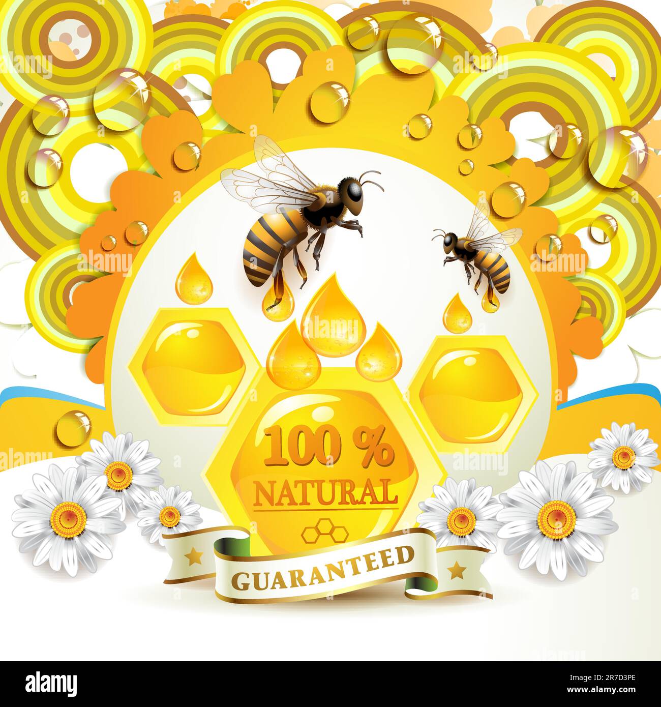 Bees and honeycombs over floral background with drops Stock Vector